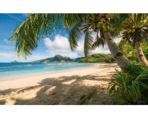 Palmbomen en een helderblauwe zee brengen het tropische strand tot leven in dit fotobehang van de hemel op aarde.
