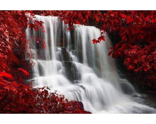 Fotobehang van een herfstlandschap met een waterval die door het bos stroomt, omgeven door kleurrijke bladeren.