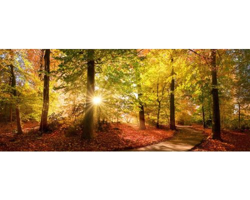 Fotobehang Strand met Duinen en Zee met uitzicht over zand, helmgras en glinsterende golven.