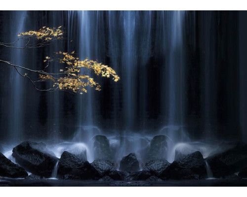 Fotobehang Herfsttak bij de Waterval