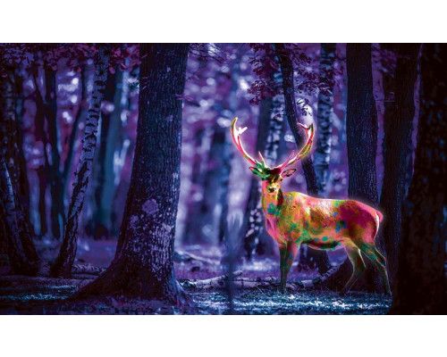 Fluorescerend hert in een bos op fotobehang, in paars.