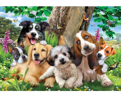 Puppy's en vlinders, dolle beestenboel fotobehang met vrolijke dieren en een speelse uitstraling.