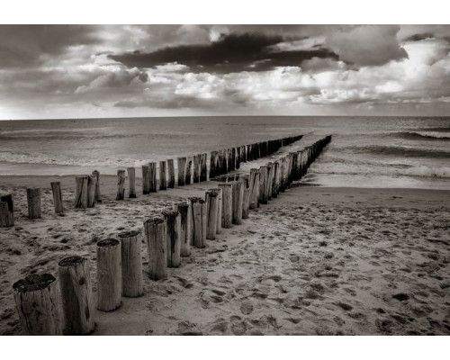 Fotobehang van houten paaltjes die in het zand van het strand zijn geplaatst, met een zwart-wit weergave van de zee.
