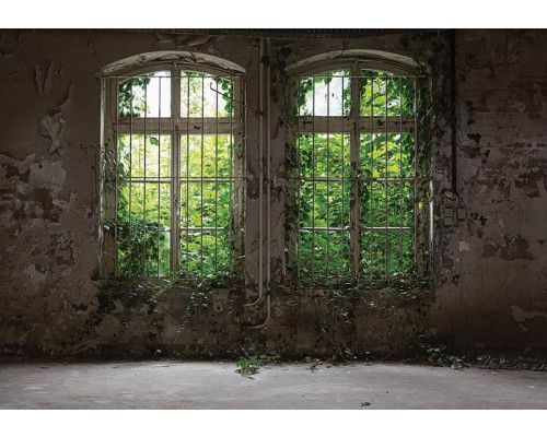 Verlaten industriële gebouwen en planten komen samen op dit fotobehang, wat een mysterieuze en verwaarloosde sfeer creëert.