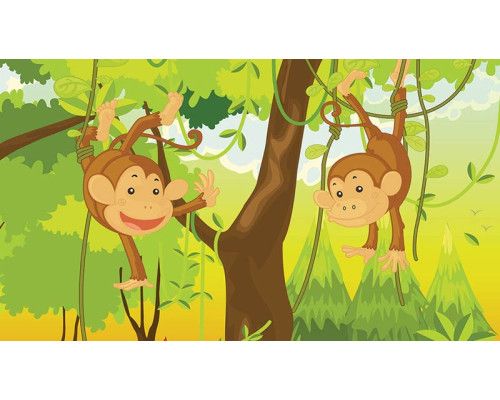 Jungle apen op fotobehang, speciaal voor babykamers.