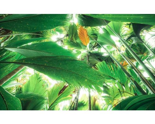 Jungle dak tropisch bladeren fotobehang, met een weelderig groen bladerdak.