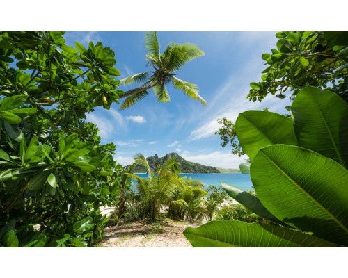 Jungle paradijs met palmbomen en een tropisch strand.