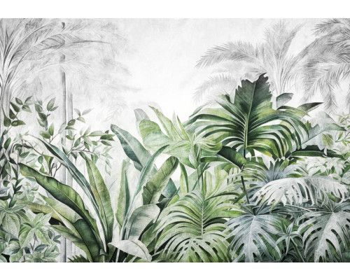 Fotobehang van tropische jungleplanten en bladeren in een botanische setting.