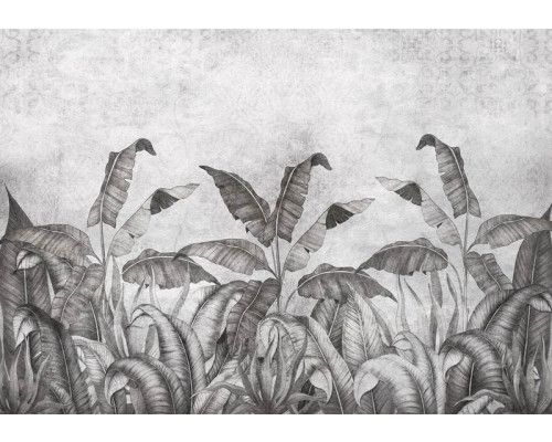 Zwart-wit fotobehang van jungleplanten en bladeren op een betonnen achtergrond, met een stoer en stijlvol contrast.