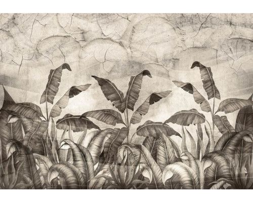 Fotobehang van jungleplanten en bladeren die tegen een betonnen muur groeien, met een natuurlijke en rustgevende sfeer.