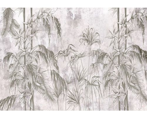 Fotobehang, Jungle Beton Zwart Wit Planten