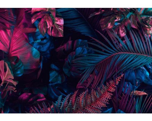 Gedetailleerde junglebladeren in een natuurlijke botanische stijl, weergegeven in rijke groentinten op dit fotobehang.