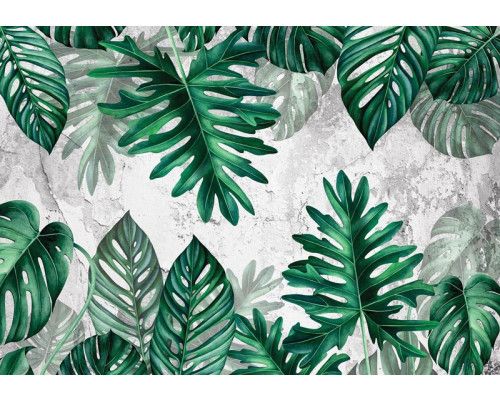 Fotobehang met jungle bladeren op een betonnen muur, botanisch ontwerp met een industriële achtergrond voor een moderne uitstraling.