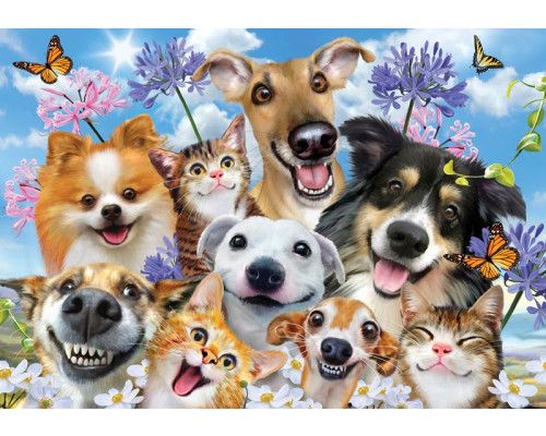 Grappige honden en katten die met elkaar op een fotobehang staan.