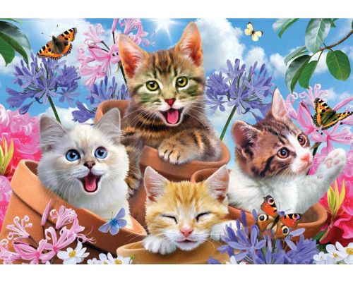 Kittens en vlinders, dolle beestenboel fotobehang met een speelse en vrolijke uitstraling voor kinderen.