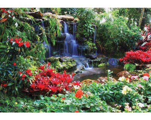 Fotobehang van een kleurrijke jungle met waterval, tuin, bloemen en groene planten.