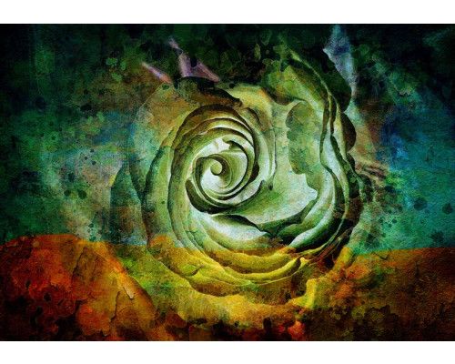 Kleurrijke roos in kunstzinnige schilderstijl op fotobehang.