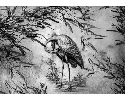 Zwart-wit afbeelding van een kraanvogel in een serene natuurlijke omgeving, weergegeven in strakke lijnen.