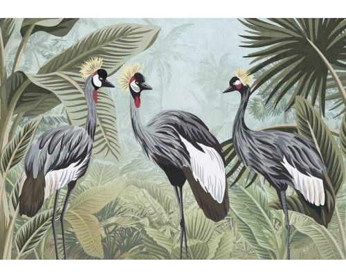 Fotobehang van kraanvogels in de jungle, met een focus op de exotische omgeving en dieren.