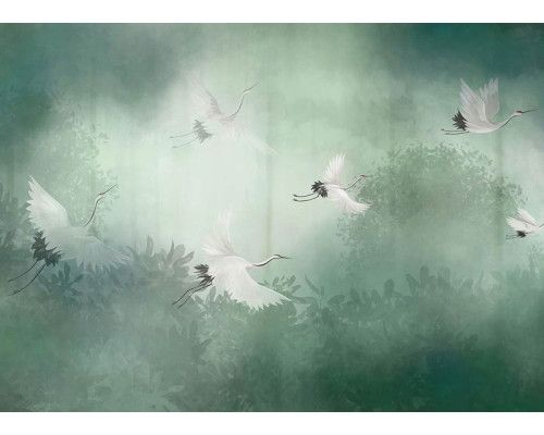 Fotobehang Kraanvogels in Mistig Bos