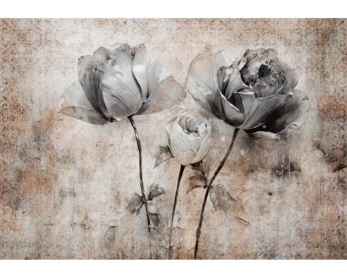 Kunstig fotobehang van rozen tegen een betonnen achtergrond, met een elegant bloemenontwerp.