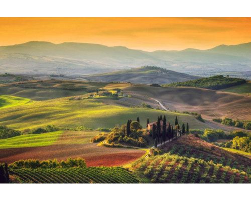 Fotobehang van een Toscaans landschap in Italië, waar wijngaarden en bergen het serene uitzicht domineren.