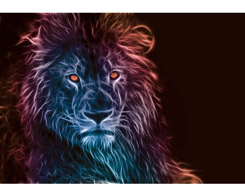 Fotobehang van leeuwen in abstracte kunststijl, dynamisch en kleurrijk.