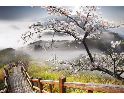 Fotobehang lente landschap met bergen en bomen, rustgevend natuurtoneel.