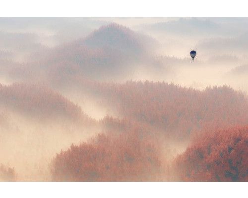 Fotobehang van een luchtballon die boven een mistig bos zweeft, met bomen die in de nevel verdwijnen.