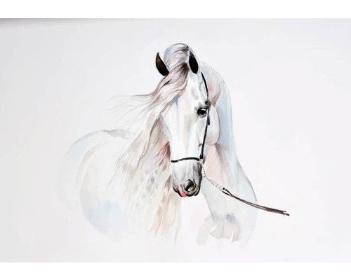 Fotobehang van een majestueus wit paard in een dynamische pose, ideaal voor liefhebbers van paarden.