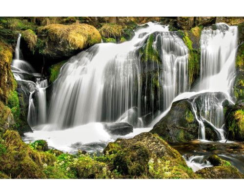 Fotobehang van een majestueuze waterval die door een bos en bergen stroomt, omringd door een weelderig natuurlandschap.