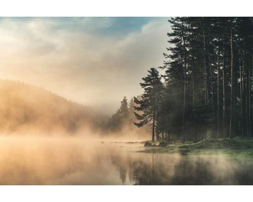 Fotobehang van mist die boven een meer hangt, omringd door bergen en bossen, met een serene en rustige sfeer.