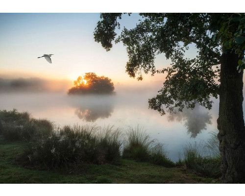 Fotobehang van mist die boven een meer hangt, met een rustgevend en sereen landschap van bomen en water.