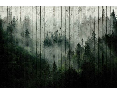 Mistig bos fotobehang met bomen op een houten planken achtergrond.