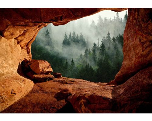 Fotobehang van een mistig bos, gezien vanuit een grot met een mysterieuze sfeer.