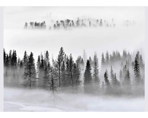 Fotobehang Mistige Ochtend