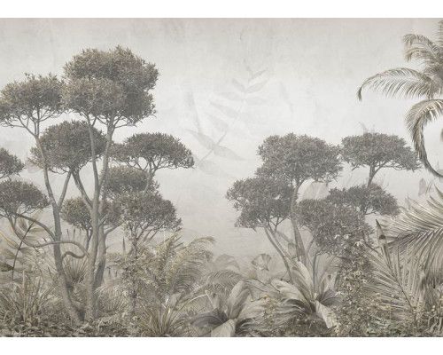Een fotobehang met een monochrome jungle, waarin gedetailleerde zwart-witte bladeren en tropische planten zorgen voor een stijlvol en modern effect.