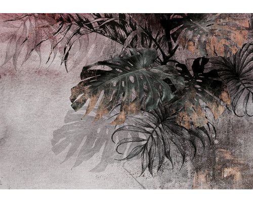 Fotobehang, Monstera palm bladeren beton 3D