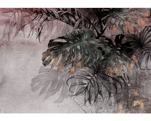 Fotobehang, Monstera palm bladeren beton 3D