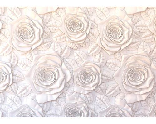 Fotobehang Muur van Witte Rozen