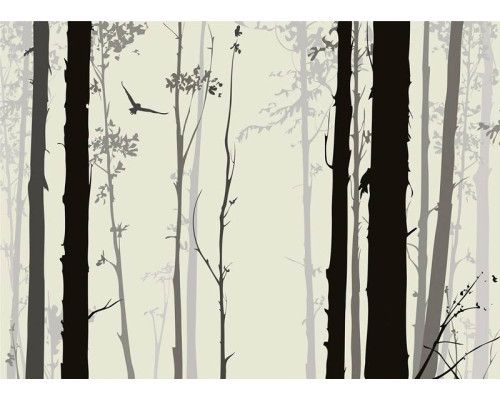 Fotobehang Mystiek Bos