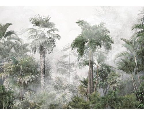 Fotobehang Mystiek Tropisch Regenwoud