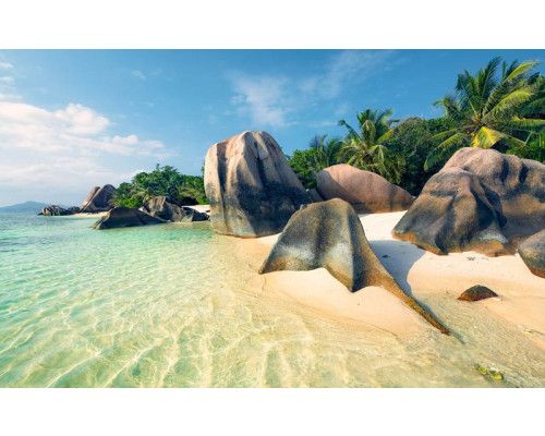 Oceaan parel palmbomen strand fotobehang, ideaal voor een tropische kamer.