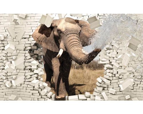 Fotobehang van een 3D-olifant die door een muur breekt, met een indrukwekkend visueel effect.