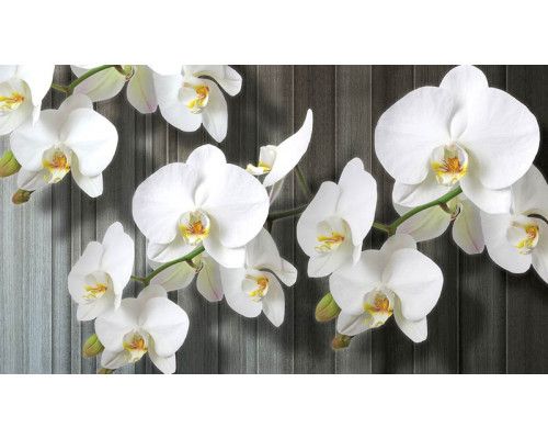Fotobehang van orchideeën op een houten achtergrond, ideaal voor een rustieke natuurlijke sfeer.