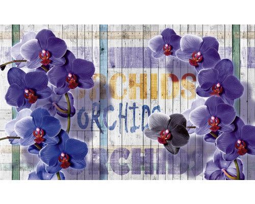 Fotobehang van orchideeën op een houten achtergrond, delicate bloemen in volle bloei.