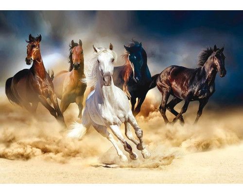 Fotobehang van een aantal paarden in die rennen door de woestijn.