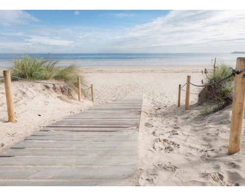 Een fotobehang met een houten pad naar het strand, omgeven door duinen en helmgras, met de zee op de achtergrond en een helderblauwe lucht.
