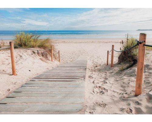 Zandpad dat leidt naar een afgelegen strand met helderblauwe zee en duinen op de achtergrond, fotobehang dat rust en vrijheid uitstraalt.