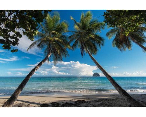 Fotobehang van palmbomen die langs de kustlijn van een tropisch strand staan, met helderblauw water op de achtergrond.
